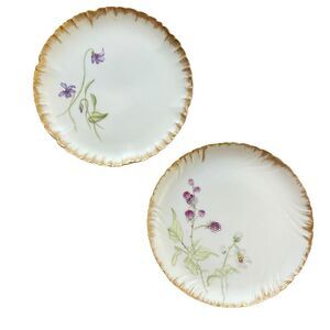 Haviland 1870-1890 Decorative Floral Plates France 7” - A Pair